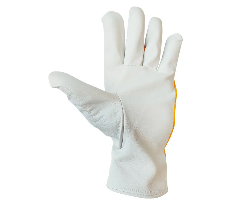 product-pic